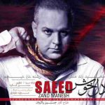 دانلود آهنگ جدید سعید زند منش به نام دل خوش دانلود آهنگ جدید سعید زند منش به نام دل خوش