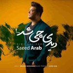 دانلود آهنگ جدید سعید عرب دیدی چی شد