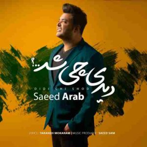 دانلود آهنگ جدید سعید عرب دیدی چی شد دانلود آهنگ جدید سعید عرب دیدی چی شد