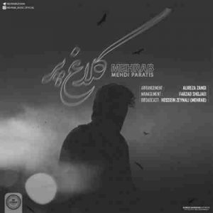 دانلود آهنگ جدید مهراب و مهدی پاراتیس کلاغ پر دانلود آهنگ جدید مهراب و مهدی پاراتیس کلاغ پر