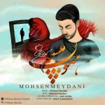 دانلود آهنگ جدید محسن میدانی همون میشم