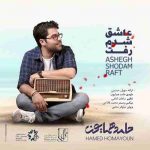 دانلود آهنگ جدید حامد همایون عاشق شدم رفت