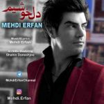دانلود آهنگ جدید مهدی عرفان به نام دلخوشیم