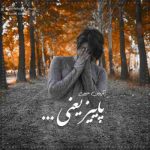 دانلود آهنگ جدید آرمین حبیبی پاییز یعنی