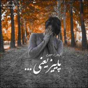 دانلود آهنگ جدید آرمین حبیبی پاییز یعنی دانلود آهنگ جدید آرمین حبیبی پاییز یعنی