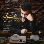 دانلود آهنگ جدید علی اکبری به نام دیوونه احساسی