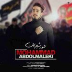 دانلود آهنگ جدید محمد عبدالمالکی شور شیرین