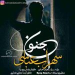 دانلود آهنگ جدید سهراب عباسی به نام جنون