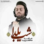 دانلود آهنگ جدید حامد محضرنیا به نام یلدا دانلود آهنگ جدید حامد محضرنیا به نام یلدا