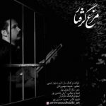 دانلود آهنگ جدید امیر مسعود حبیبی به نام مرغ گرفتار