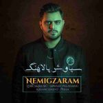 دانلود آهنگ جدید سیاوش پالاهنگ به نام نمیگذرم