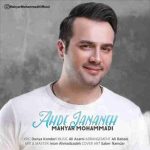 دانلود آهنگ جدید مهیار محمدی به نام عهد جانانه