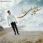 دانلود آهنگ جدید سعید خلیلی به نام روزهای هفته دانلود آهنگ جدید سعید خلیلی به نام روزهای هفته