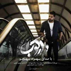 دانلود آهنگ جدید بهراد بهجو دارکوب دانلود آهنگ جدید بهراد بهجو دارکوب