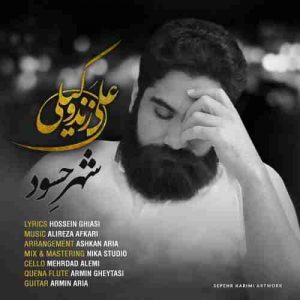 دانلود آهنگ جدید علی زند وکیلی شهر حسود دانلود آهنگ جدید علی زند وکیلی شهر حسود