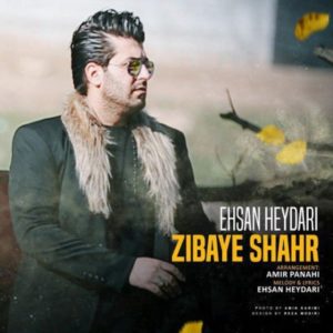 دانلود آهنگ احسان حیدری زیبای شهر