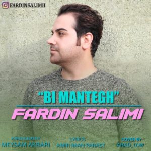 دانلود آهنگ فردین سلیمی بى منطق