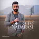 دانلود آهنگ مهدی عسگری دلشو ندارم