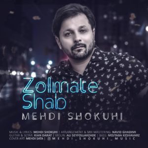 دانلود آهنگ مهدی شکوهی ظلمت شب
