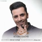 میثم اسکندری دوست دارم