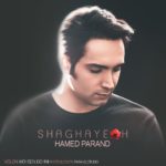 دانلود آهنگ حامد پرند شقایق