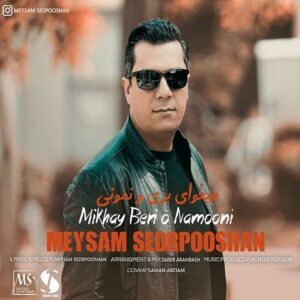 دانلود آهنگ میثم سدرپوشان میخوای بری و نمونی دانلود آهنگ میثم سدرپوشان میخوای بری و نمونی