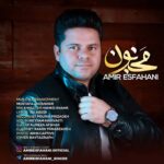 امیر اصفهانی مجنون
