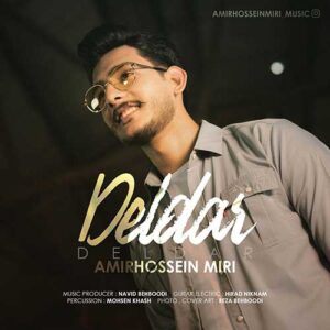 دانلود آهنگ امیرحسین میری دلدار