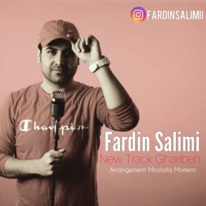 دانلود آهنگ فردین سلیمی غریبه