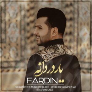 دانلود آهنگ فردین یار دردانه