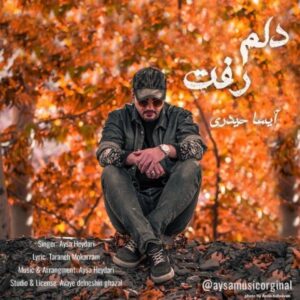 دانلود آهنگ آیسا حیدری دلم رفت دانلود آهنگ آیسا حیدری دلم رفت