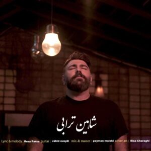 دانلود آهنگ شاهین ترابی هر سال