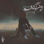 مجین از من که گذشت