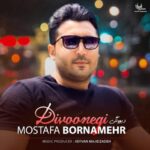 مصطفی برنامهر دیوونگی