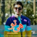 دانلود آهنگ حسین مجلس آرا هی تو