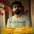 دانلود آهنگ علی محمدی هوایی شدیم