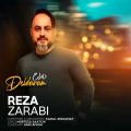 دانلود آهنگ رضا ضرابی دلدارم