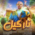 دانلود آهنگ امیر حاتم نارگیل