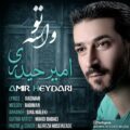 دانلود آهنگ جدید امیر حیدری واسه تو 