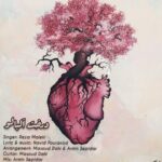 رضا ملکی درخت آلبالو