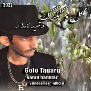       دانلود آهنگ جدید وحید نامدار گل و تگرگ