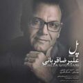       دانلود آهنگ علیرضا قربانی پل