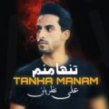       دانلود آهنگ علی نظریان تنها منم