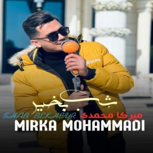 دانلود آهنگ جدید میرکا محمدی شب بخیر