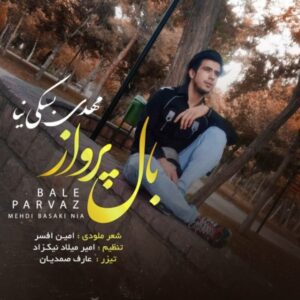 دانلود آهنگ جدید مهدی بسکی نیا باله پرواز