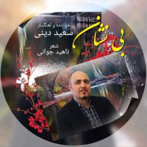 دانلود آهنگ جدید سعید دینی بی نشان