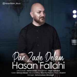 دانلود آهنگ جدید حسن فلاحی پر زده دلم دانلود آهنگ جدید حسن فلاحی پر زده دلم