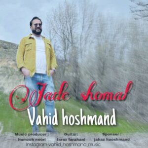دانلود آهنگ جدید وحید هوشمند جاده شمال دانلود آهنگ جدید وحید هوشمند جاده شمال