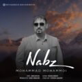 دانلود آهنگ جدید محمد محمدی نبض