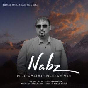 دانلود آهنگ جدید محمد محمدی نبض